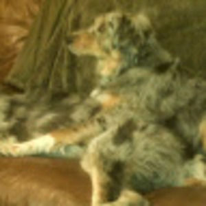 Meet your Posher, Barbara